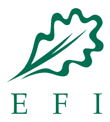 EFI_Logo1.gif